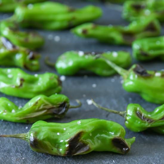 Sauteed Blistered Shishito Peppers