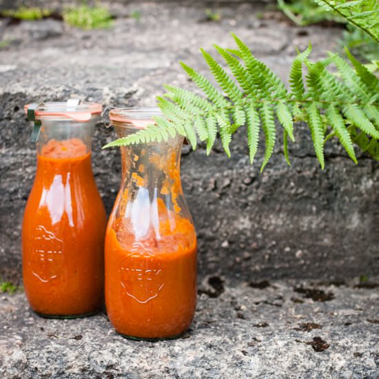 Rhubarb Ketchup