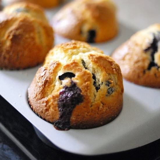 Blueberry Muffins