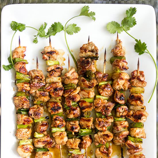 Yakitori Chicken