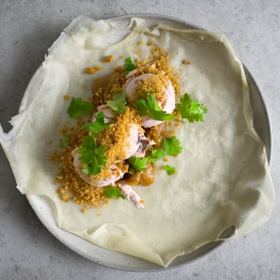 Ice Cream Spring Roll