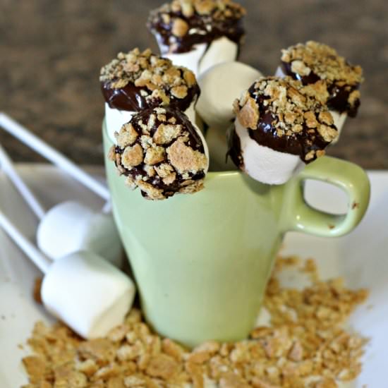 Super Easy S’Mores Pops