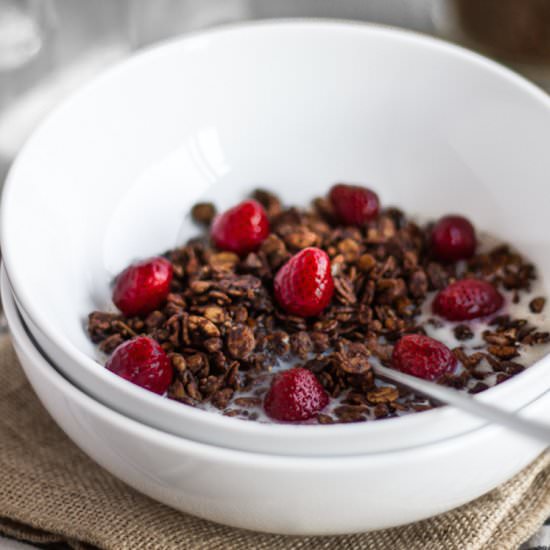 Chunky Chocolate Granola
