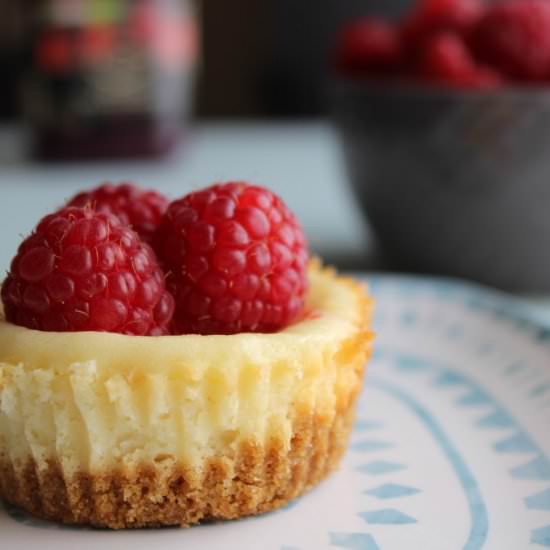 Cheesecake Bites