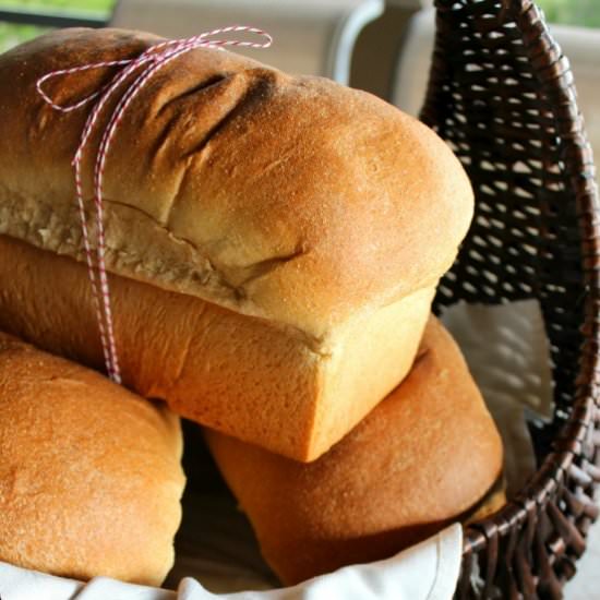 Best Wheat Bread