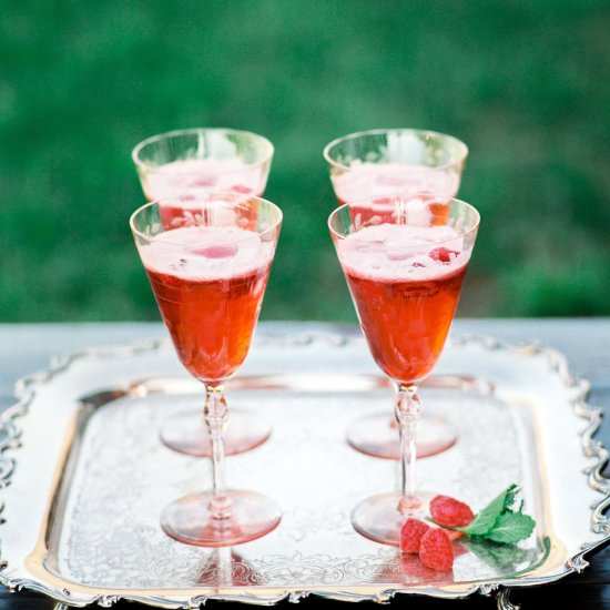 Raspberry Sorbet Fizz