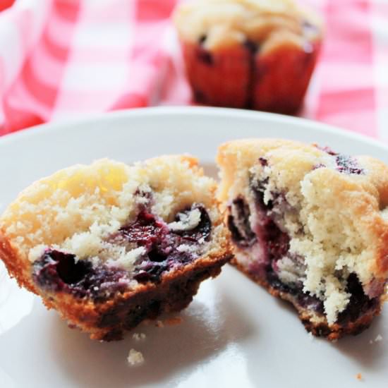 Blueberry Muffins