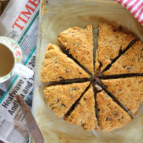Orange Dark Choc Scones