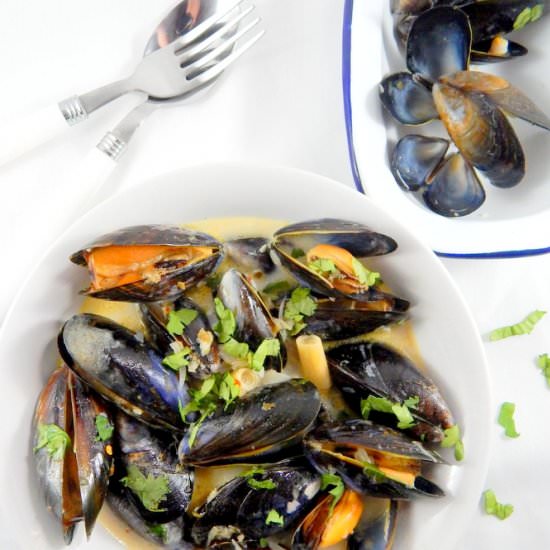 Coconut Curry Mussels