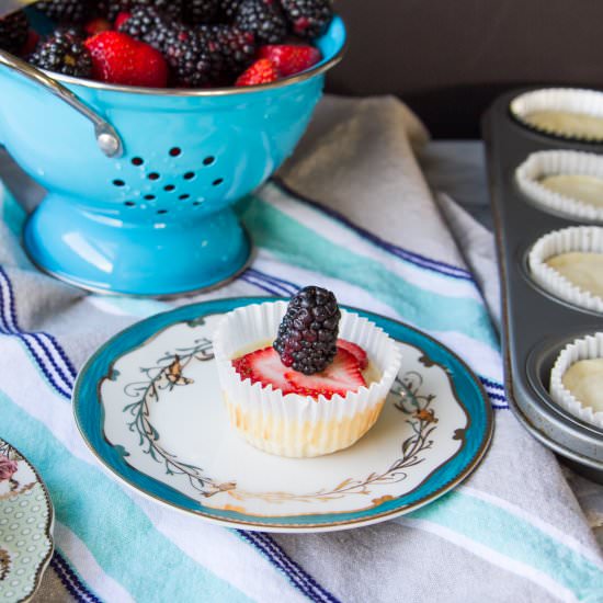 5-Ingredient Mini Cheesecakes
