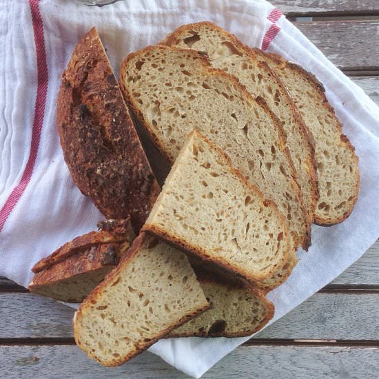 No-Knead Sourdough Bread