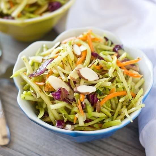 Paleo Broccoli Slaw