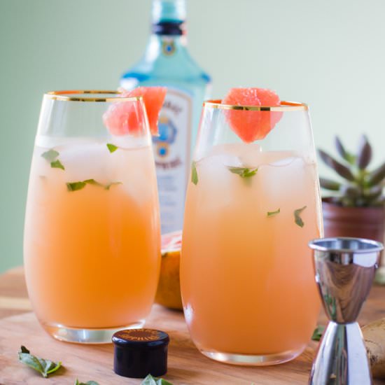 Grapefruit Ginger Cocktail