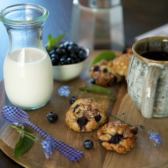 Blueberry Chocolate Oat Cookies