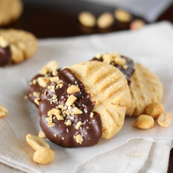 Chocolate Peanut Butter Cookies