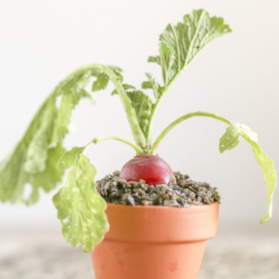 Radishes & Ranch Dirt Dip