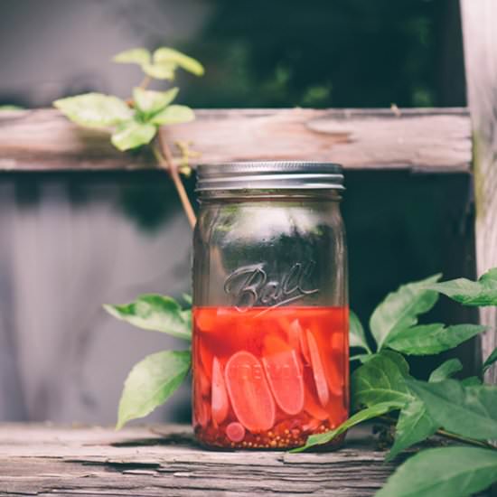Easy Pickled Radishes