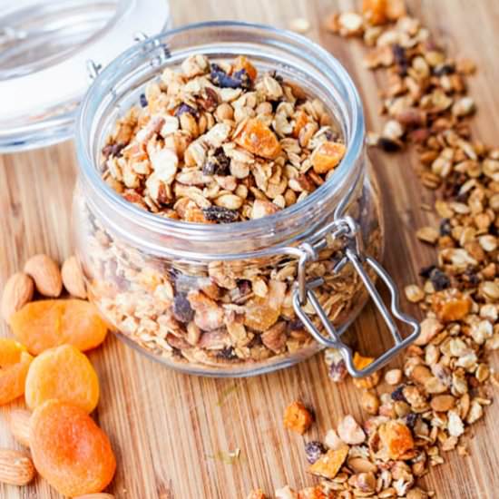 Vegan Apricot Almond Granola