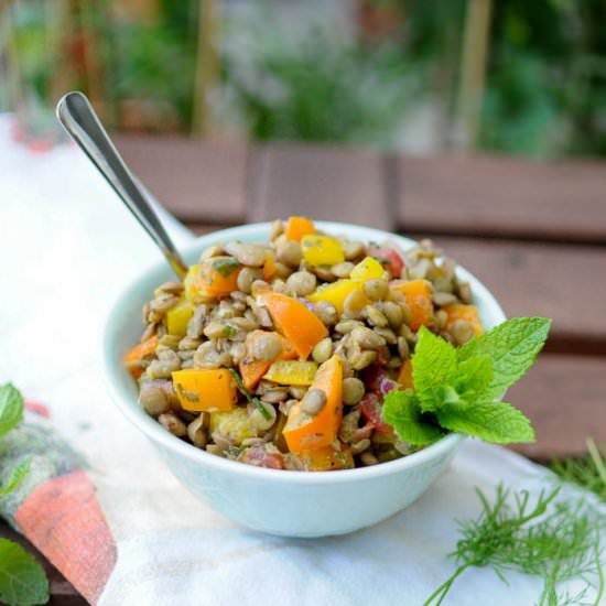 Summer Lentil Salad