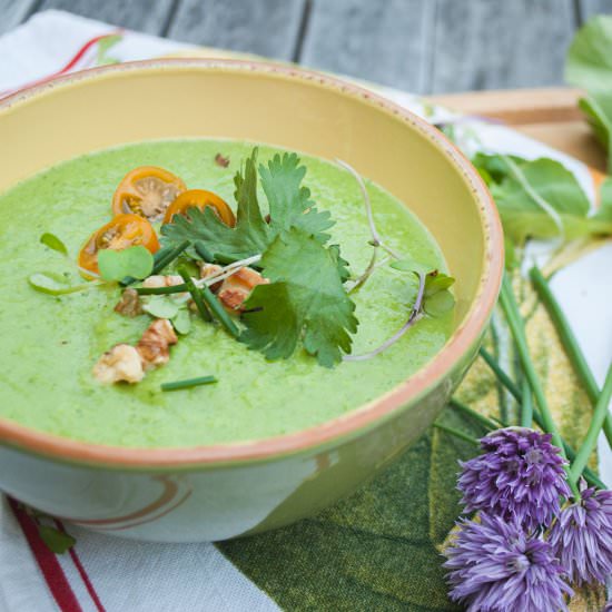 Garden Green Gazpacho