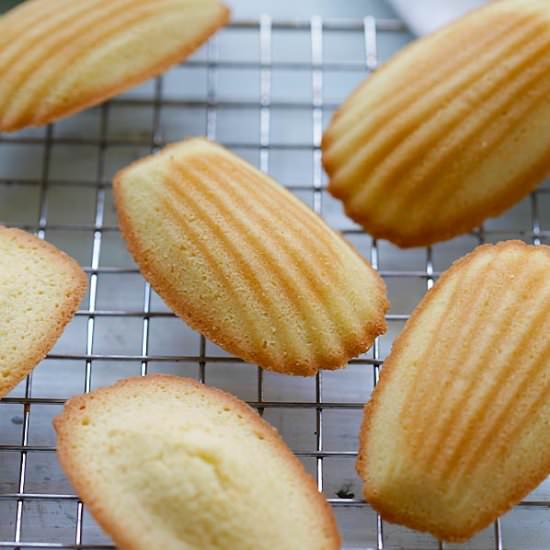 Madeleine