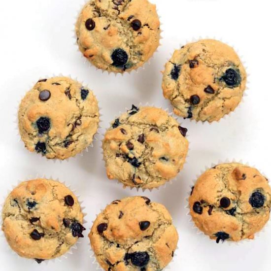 Blueberry Chocolate Chip Muffins