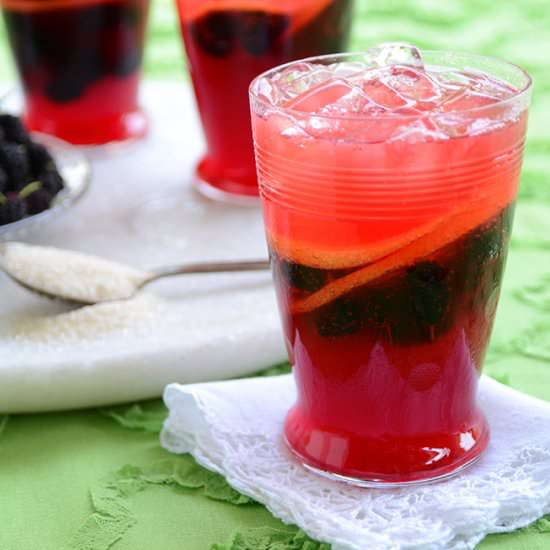 Mulberry Lemon Gin Fizz