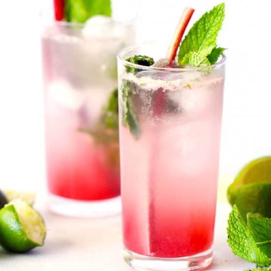 Rhubarb Mojitos