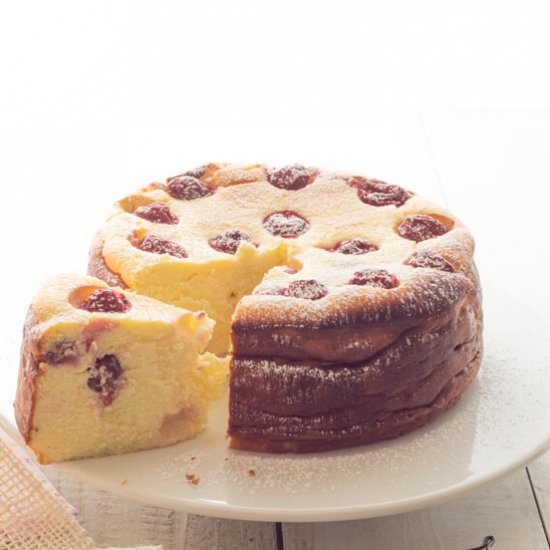 Vanilla Morello Cheesecake