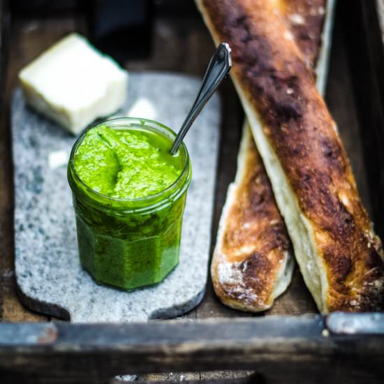 Garlic Scape Pesto