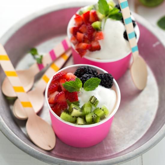 Simple Frozen Vanilla Yogurt