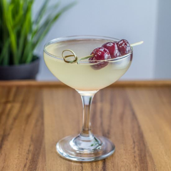 The Bee’s Knees Cocktail