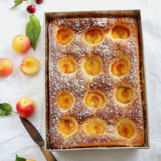 Apricot Cake