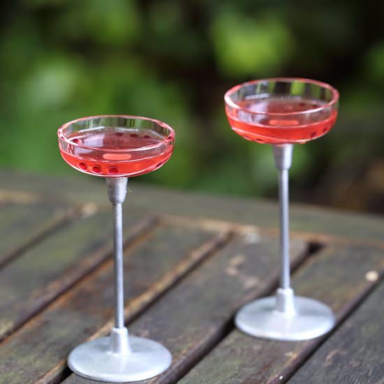 Rhubarb Liqueur