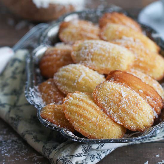 Coconut Madeleines