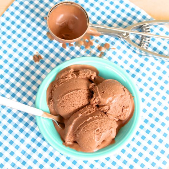 Chocolate Coconut Milk Ice Cream