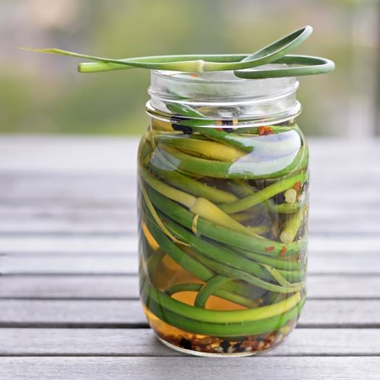 Pickled Garlic Scapes