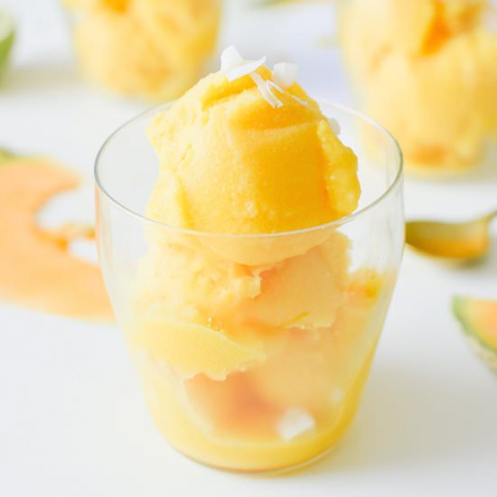 Cantaloupe Coconut Lime Sorbet