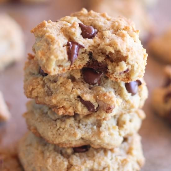 Grain Free Chocolate Chip Cookies