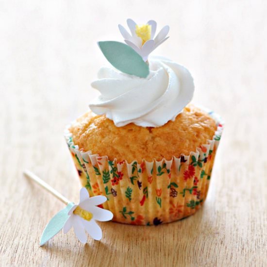 Orange Cupcakes