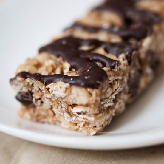 Chocolate Flax Energy Bar