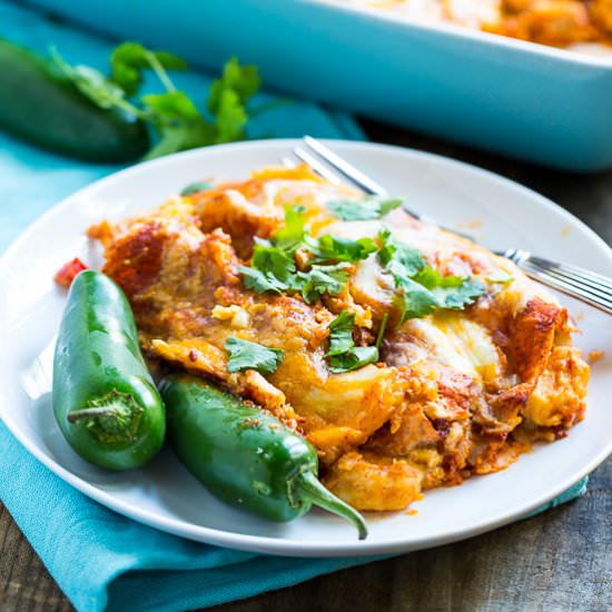 Shrimp Enchiladas