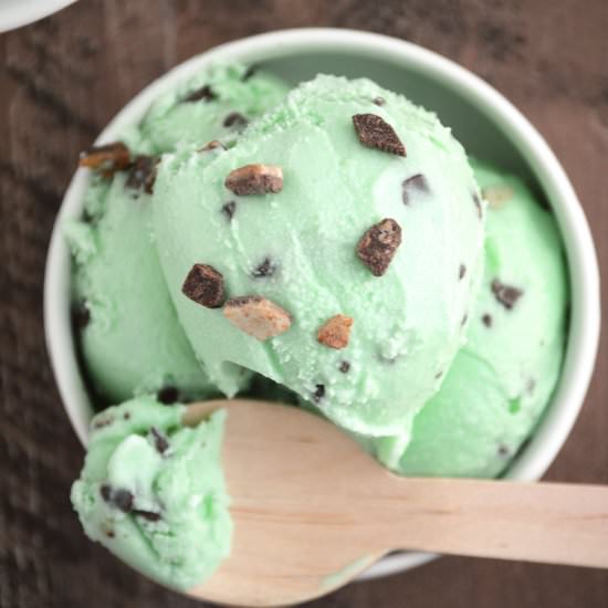 Andes Mint Chip Ice Cream