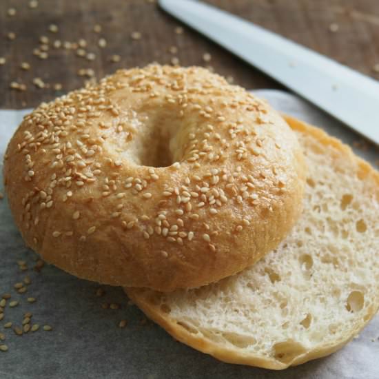 Homemade Bagels