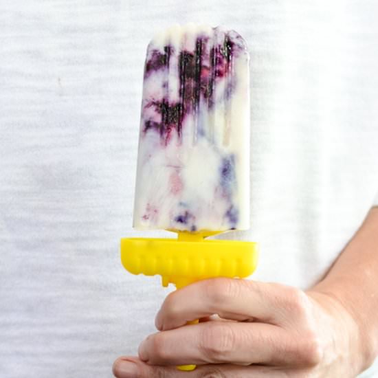 Blueberry Popsicle