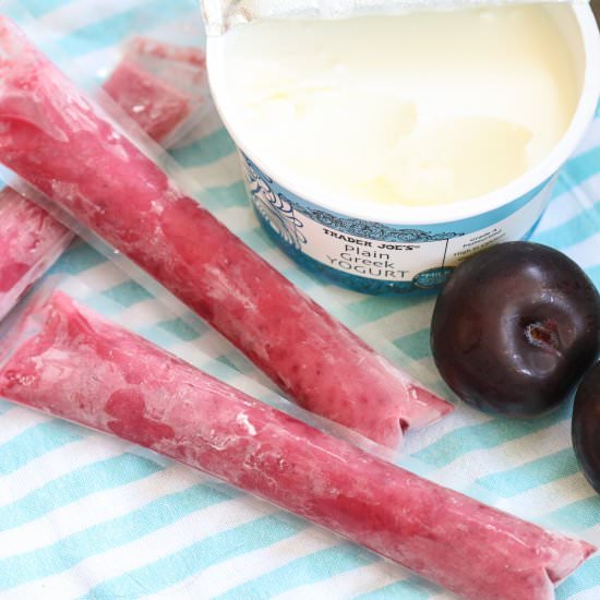Homemade Otter Pops