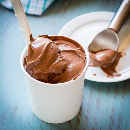 Chocolate Coconut Ice Cream (DF)