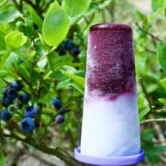 Blueberry Coconut Lime Pops
