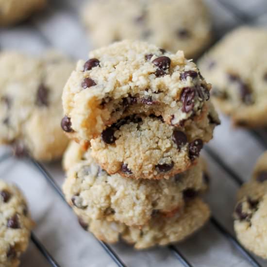 Chewy Coconut Chocolate Chip Cookie