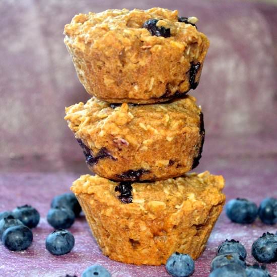 Blueberry Breakfast Bites